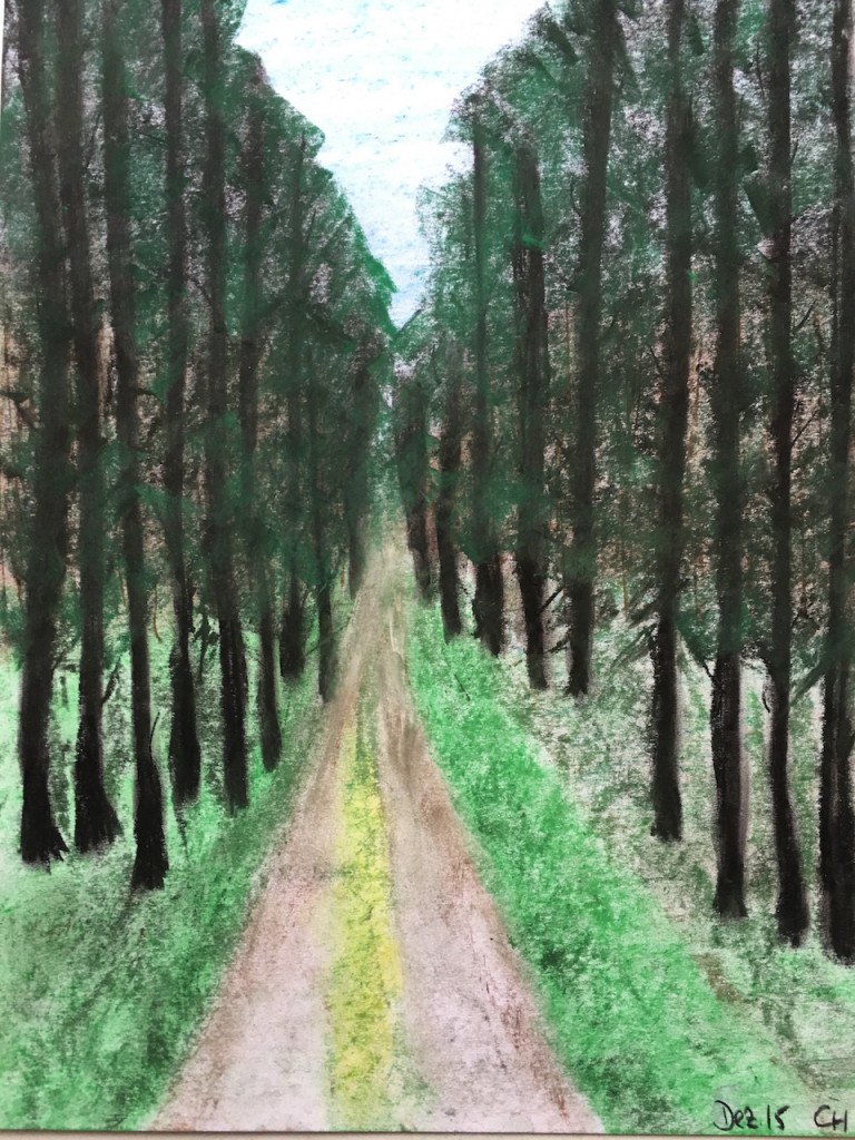 Herbstlicher Wald, Pastellkreide, DIN A 3 (Dez. 2015)